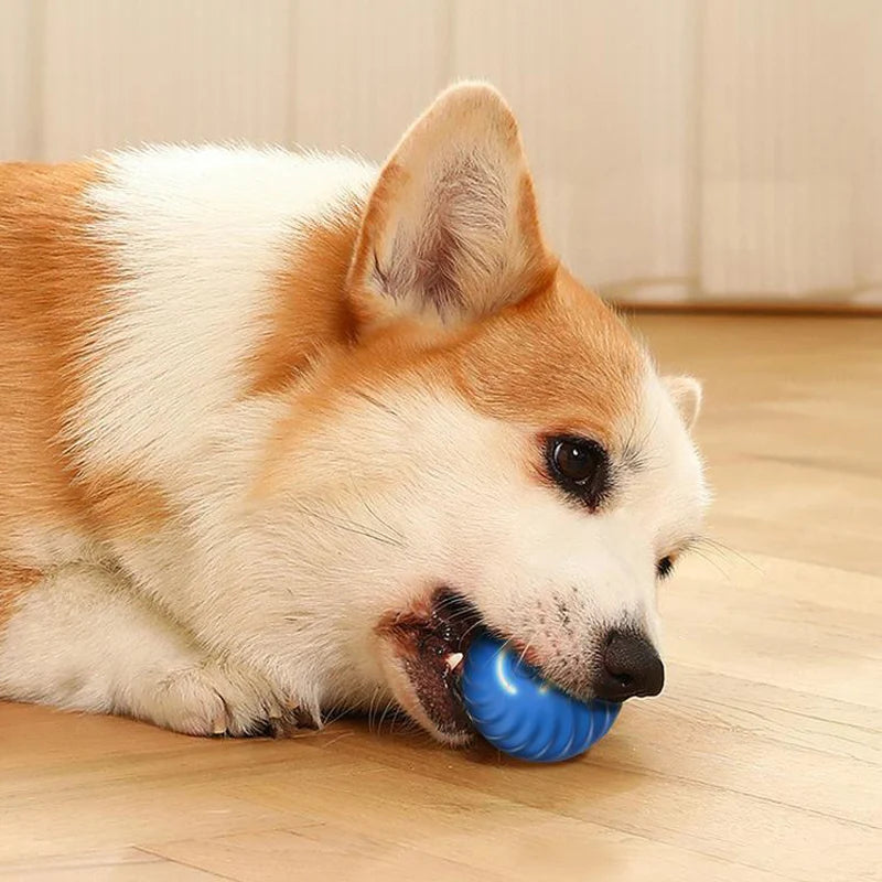 Interactive Ball Toy