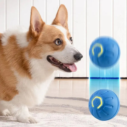 Interactive Ball Toy